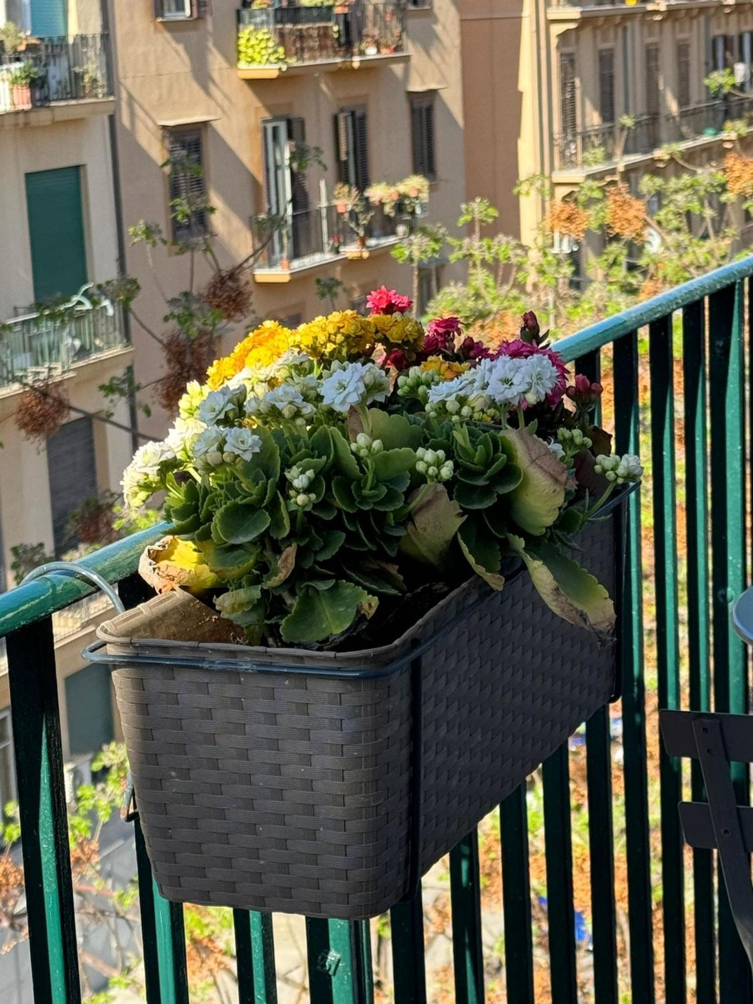 Di Fresco Apartments - Holiday House Palermo Luaran gambar